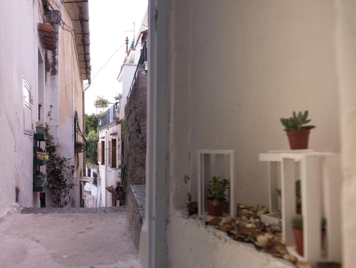 הוילה Vietri Amalfi Coast Sea View מראה חיצוני תמונה